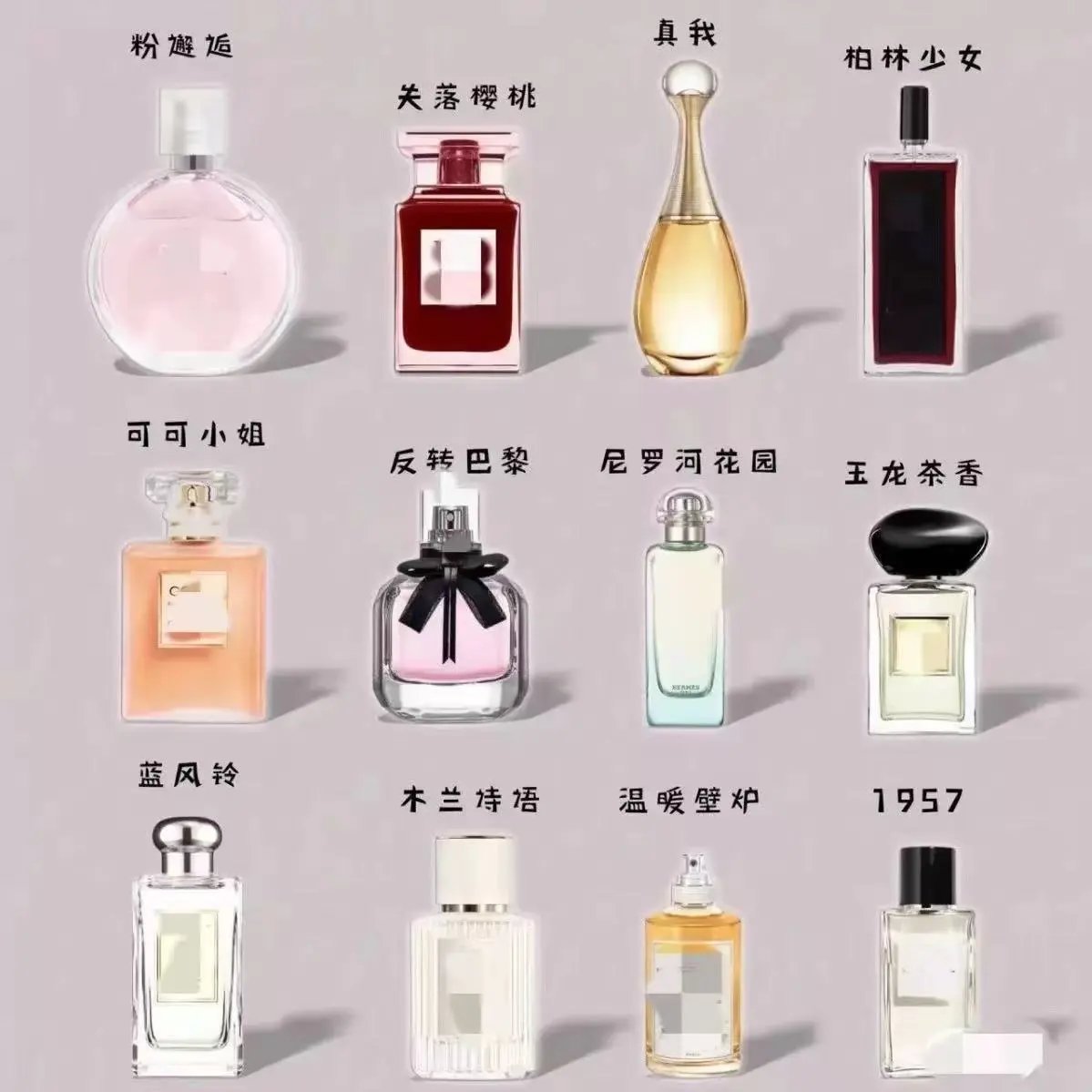 Chanel Perfume Collection - Iconic Fragrances for Women