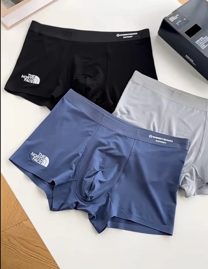 The North Face Summit Series Men's Boxer Briefs Underwear