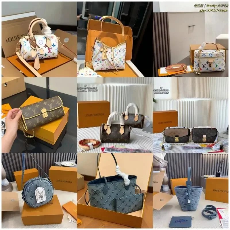 Louis Vuitton Monogram Vanity Bag Collection
