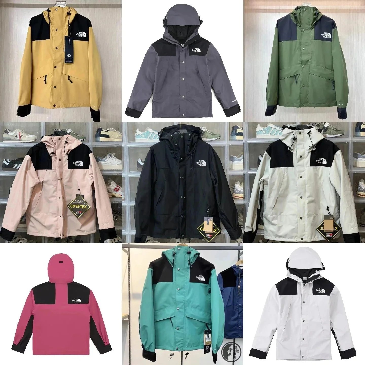 The North Face Gore-Tex Jacket Outdoor Waterproof Windproof Coat
