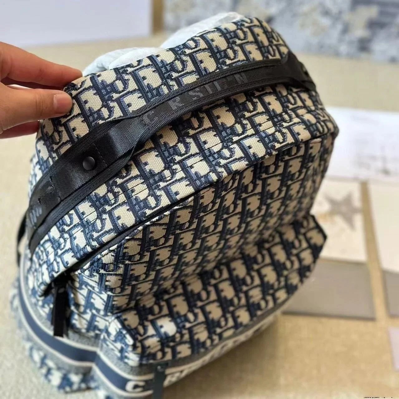 Dior Oblique Rider Canvas Travel Backpack Blue and Beige