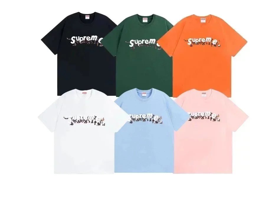 Supreme Catwoman Graphic Streetwear T-Shirt Multicolor