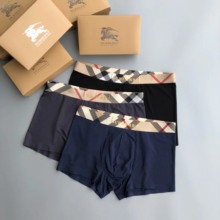 Burberry Check Waistband Boxer Briefs Multicolor