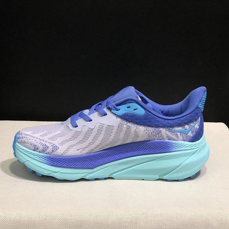 Hoka Clifton 9 Chunky Running Sneakers Blue and Light Blue