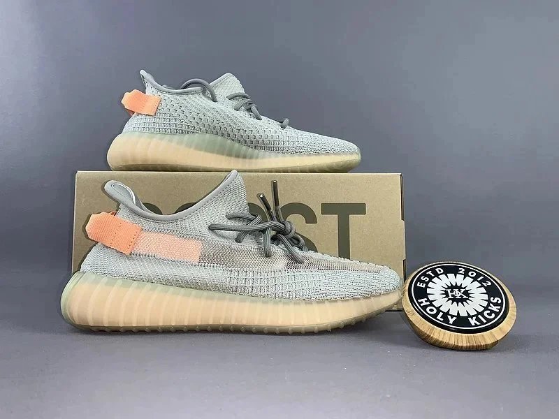 Adidas Yeezy Boost 350 V2 Tail Light Chunky Sneakers Gray and Orange