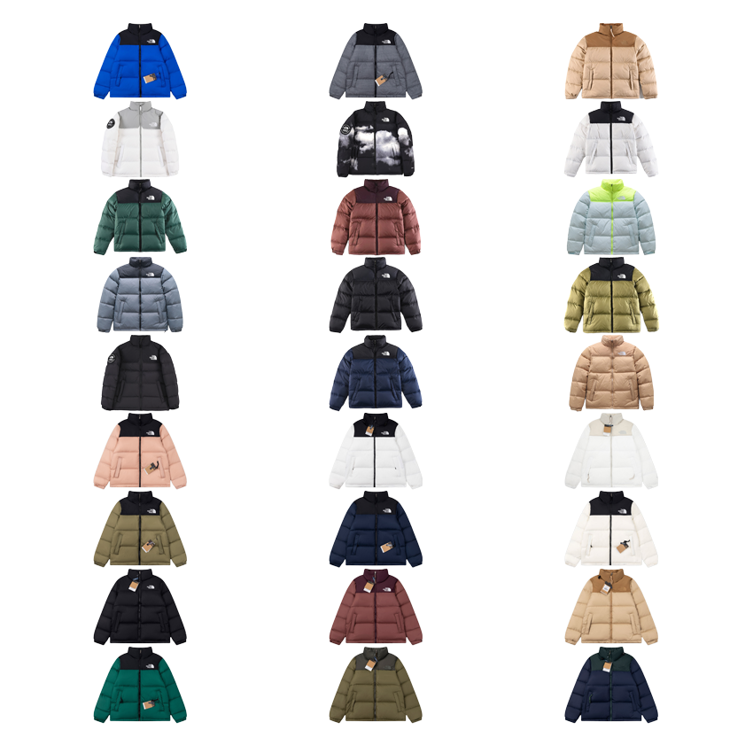 The North Face TNF 1996 Retro Nuptse Puffer Jacket Multicolor