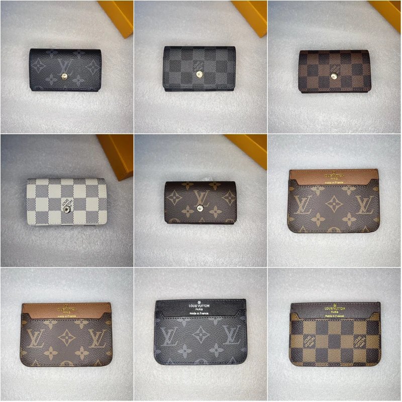 Louis Vuitton LV Key Pouch and Card Holder Classic Accessories Multicolor