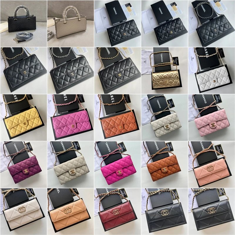 Chanel Wallet on Chain Quilted Leather Shoulder Bag Multicolor