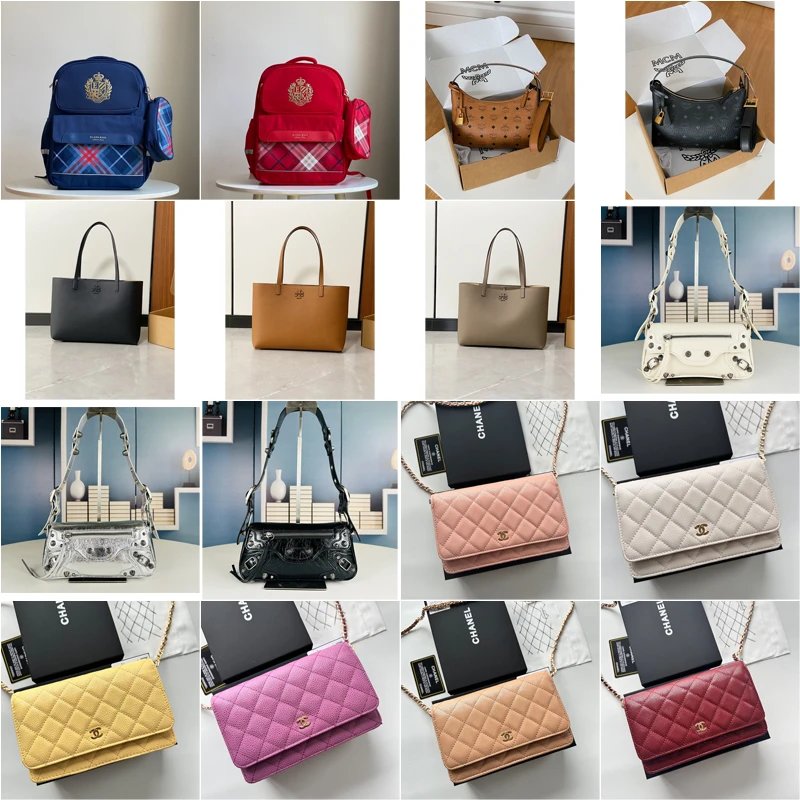 Chanel Classic Wallet on Chain Quilted Leather Shoulder Bag Multicolor