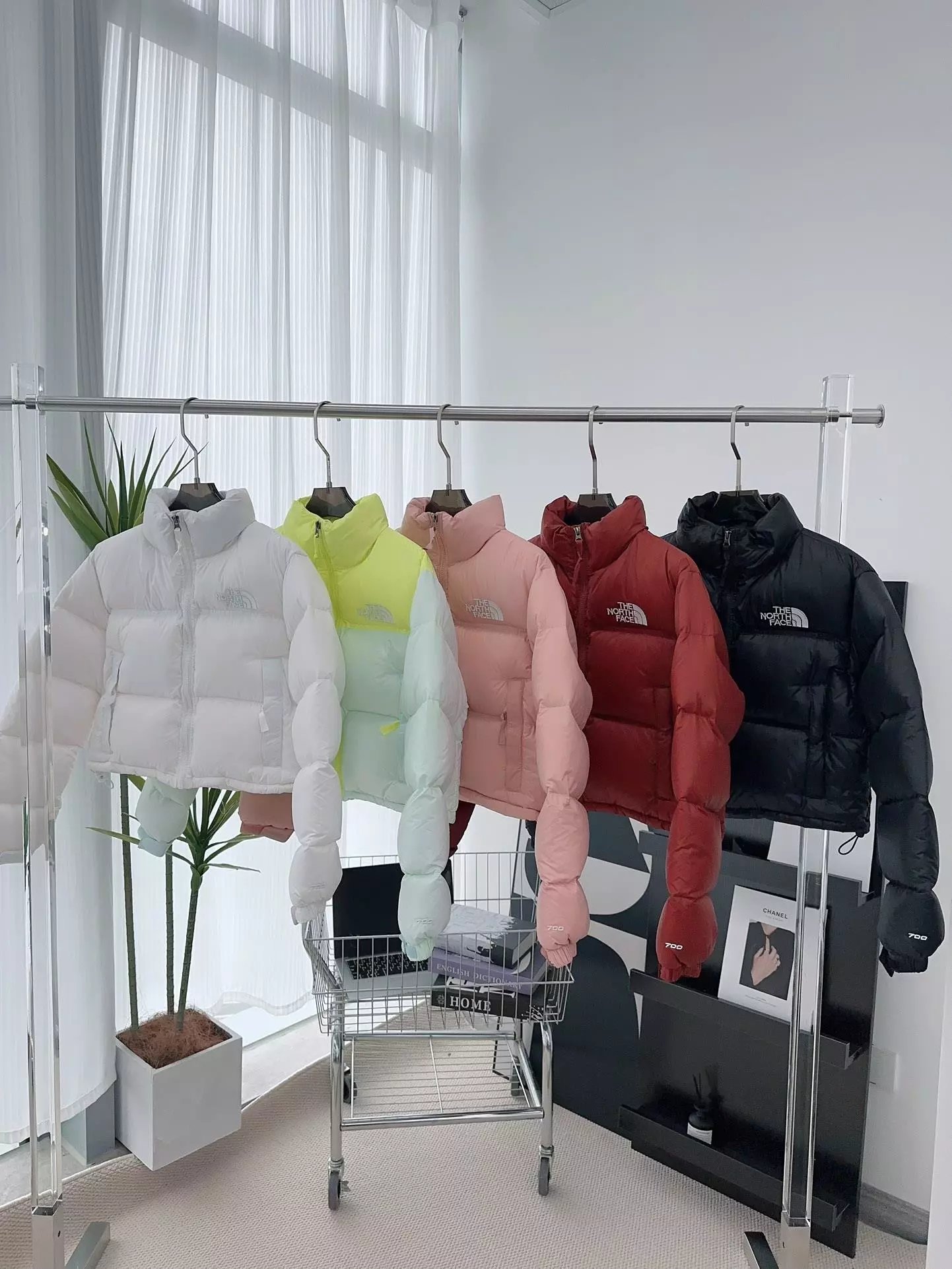 The North Face TNF Nuptse 700 Puffer Jacket Multicolor