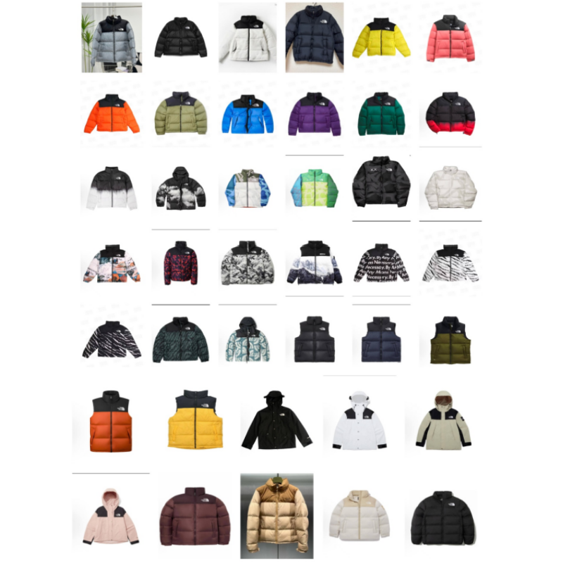 The North Face TNF Nuptse 1996 Puffer Jacket Multicolor