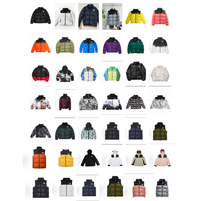 The North Face TNF Nuptse 1996 Retro Puffer Jacket Multicolor